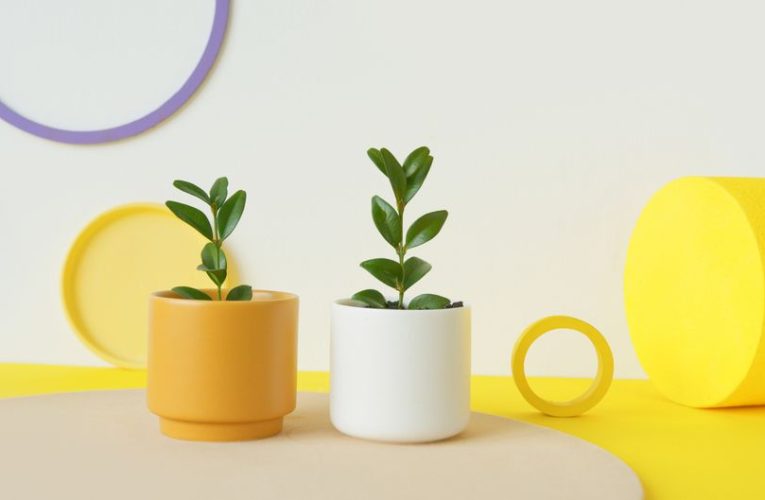 Geometrische plantpotten: de must-have tuintrend van 2026