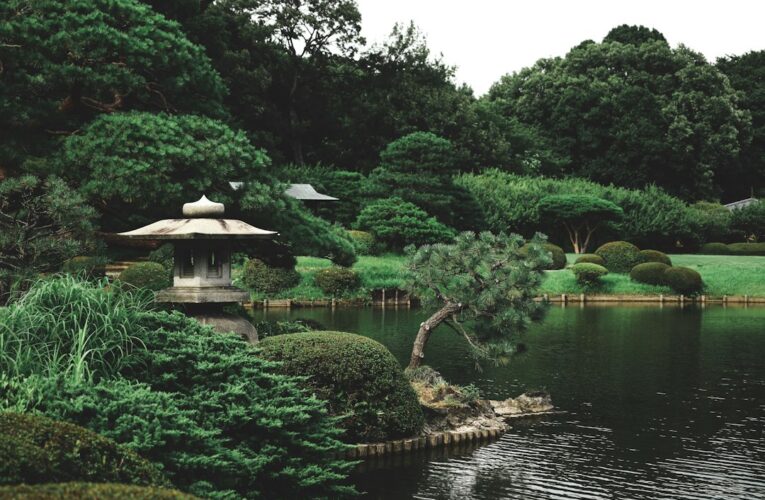 Japanse tuingeheimen: hoe je een rustgevende ruimte creëert met minimalistisch design